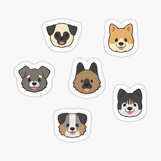 Discover The Many Faces of Dogs