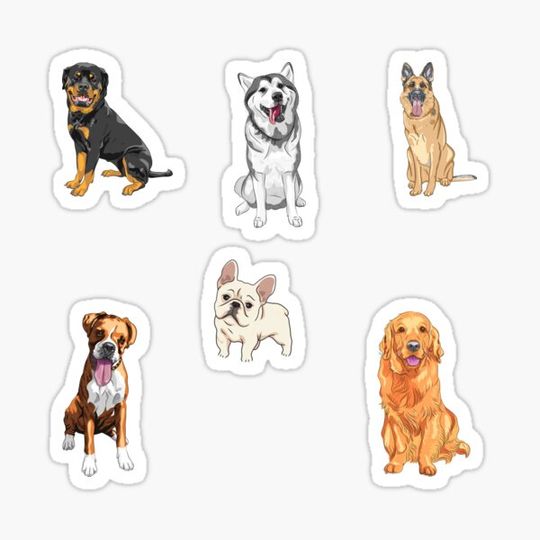 Discover Dog Distraction