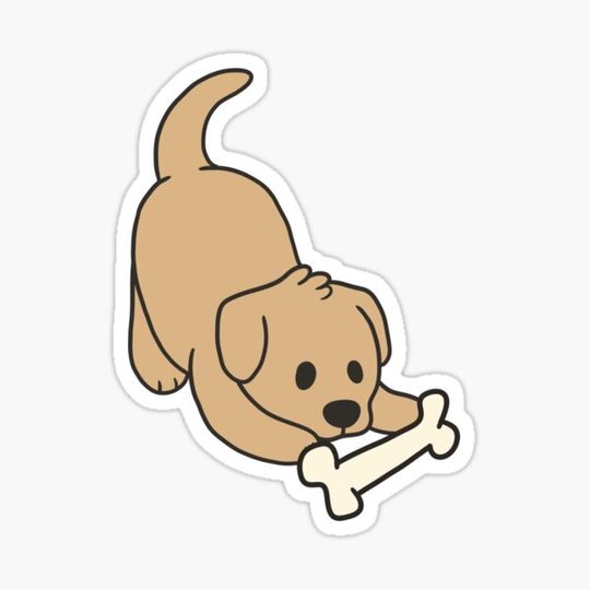 Discover Yellow Lab with Bone