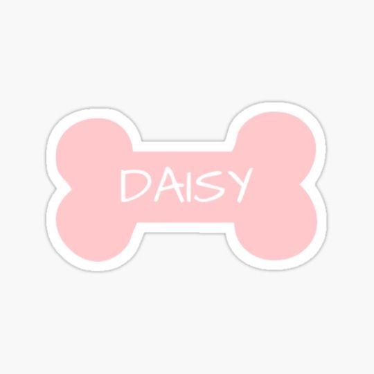 Discover Daisy - Dog Name Tag Pink