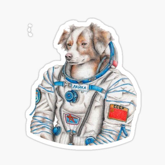 Discover Laika