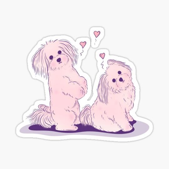 Discover Cute puppies