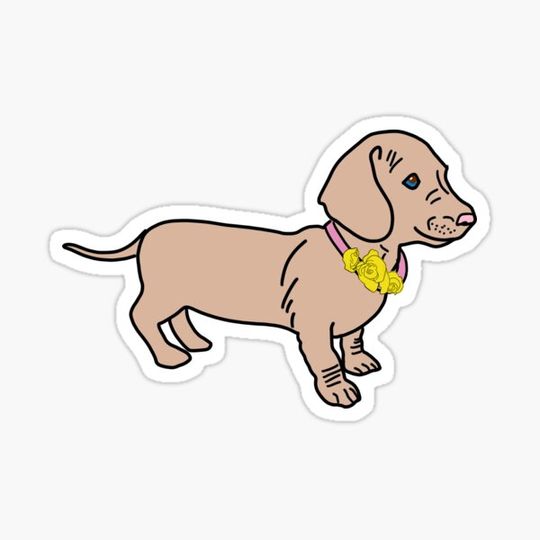 Discover Dolly Daschund