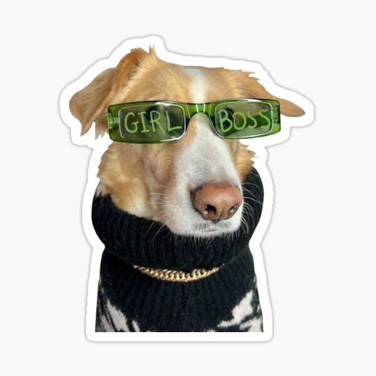 Discover Girl boss dog