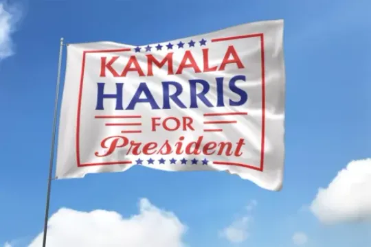 Discover Kamala Harris For President Childless Cat Lady Democrats Election 2024 Flag