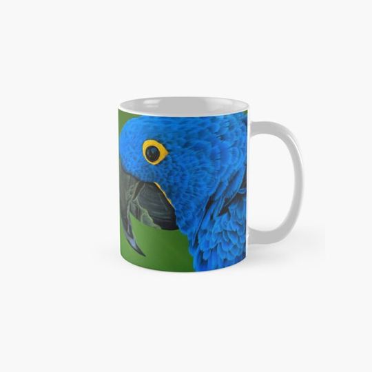 Discover Blue parrot - Ara hyacinthe