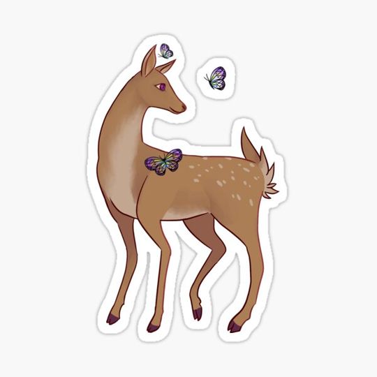 Discover Deer and Butterflies