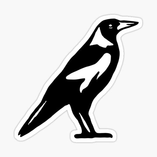Discover Magpie Black