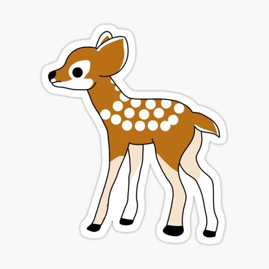 Discover A cute little deer