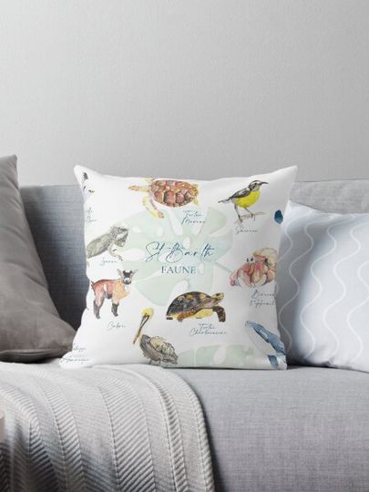 Discover The Fauna of Saint Barthelemy
