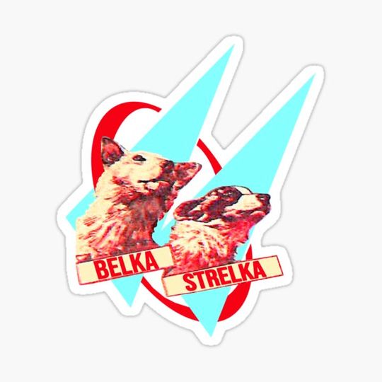 Discover strelka and belka, space travellers