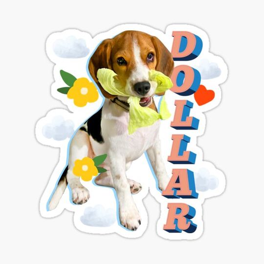 Discover I love veggie.