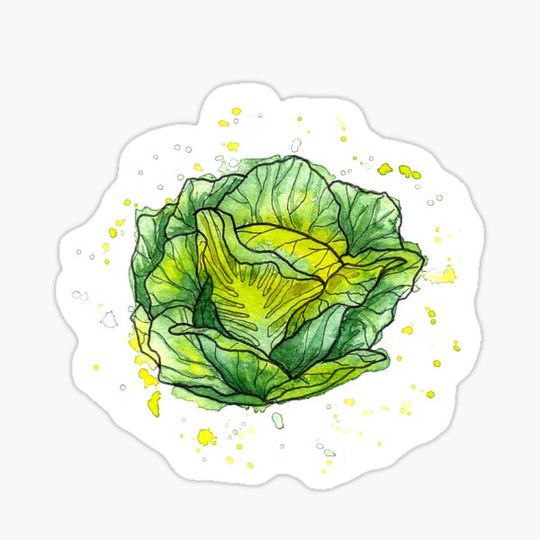 Discover Watercolor Salad