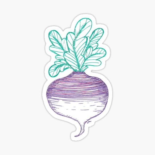 Discover Radish