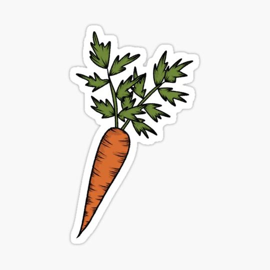 Discover Vintage Carrot