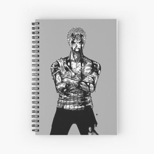 Discover Zoro from the anime One Piece
