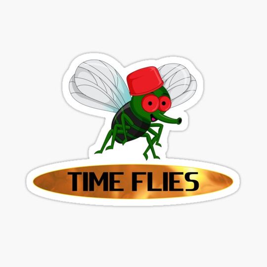 Discover Time Flies