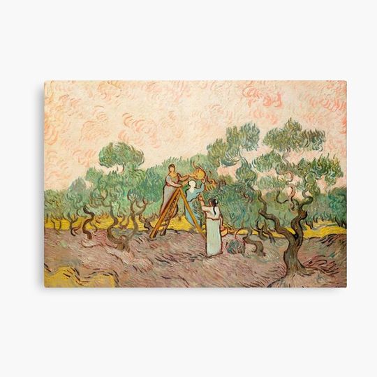 Discover Women Picking Olives