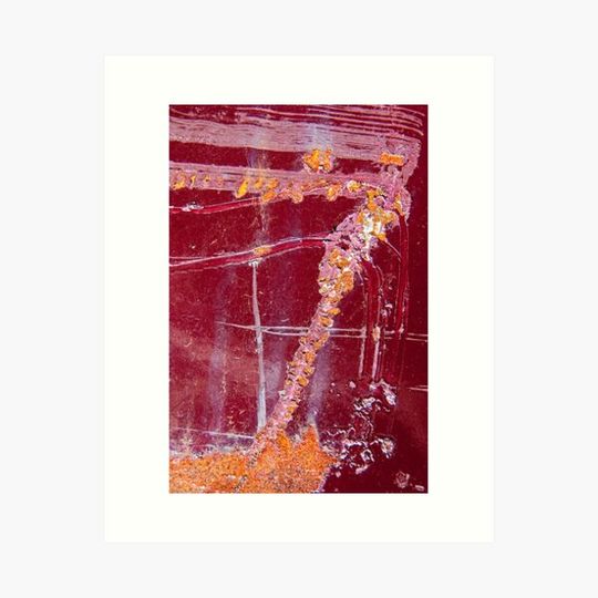 Discover Vistameer Whirling Dirvish