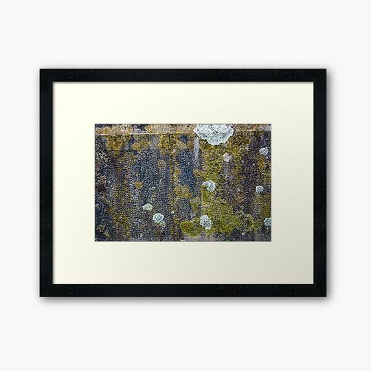 Discover Lichen and moss textures and patterns on a grungy old gravestone