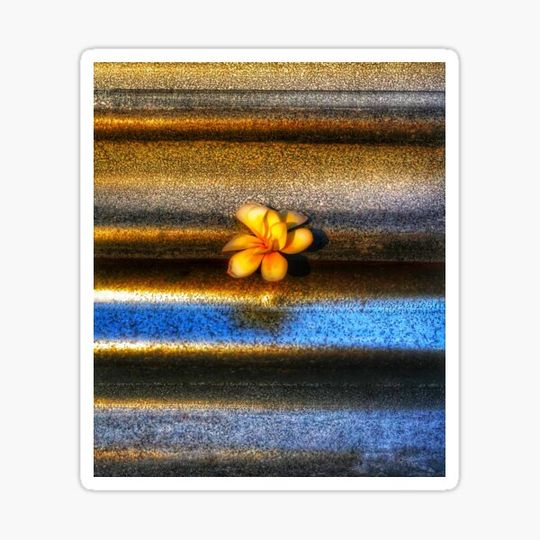Discover Frangipani Grunge