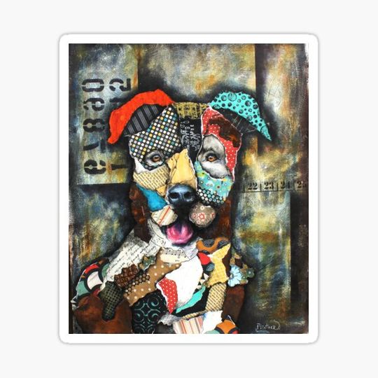 Discover Pit Bull