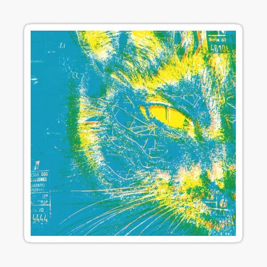 Discover Traveler Cat