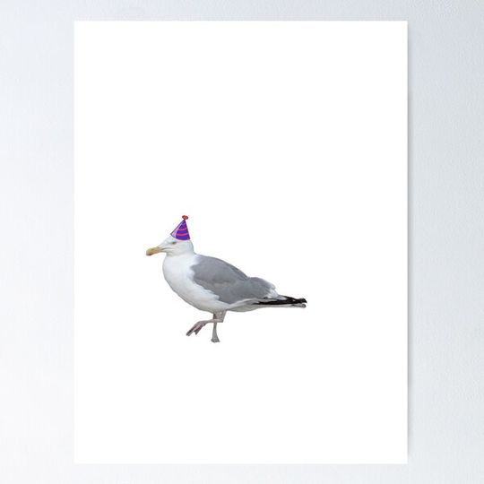Discover Seagull ready to Party