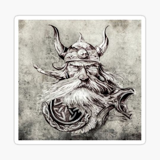 Discover viking warrior