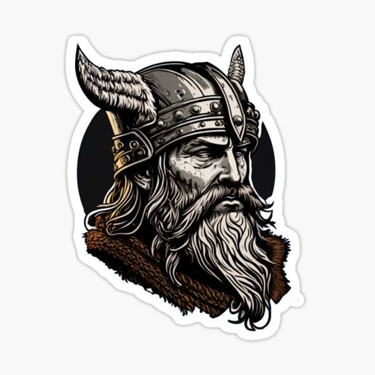 Discover Viking IX