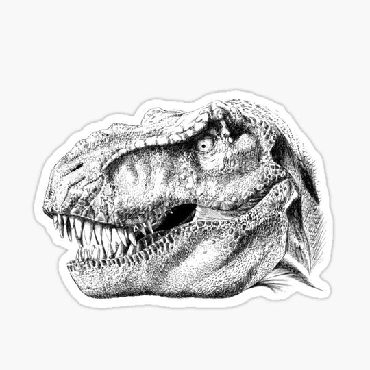 Discover Dino