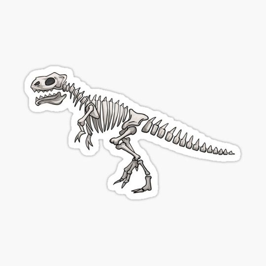 Discover Dinosaur bones