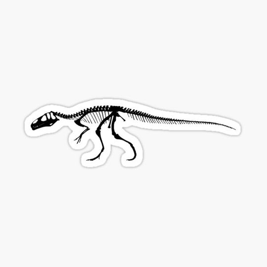Discover Dinosaur skeleton