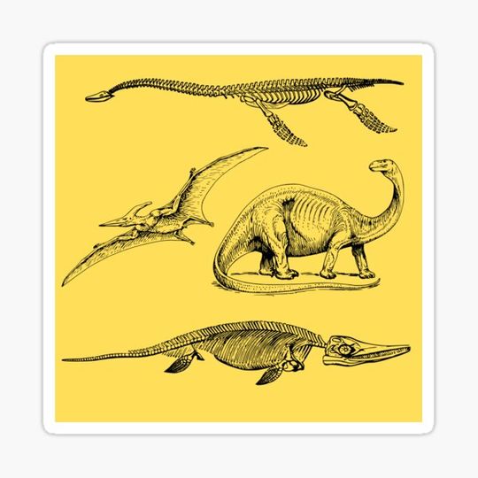 Discover Dinos