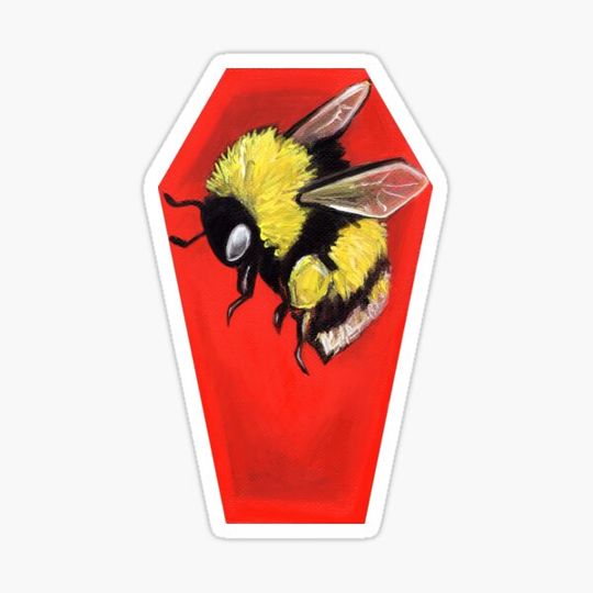 Discover Bee red coffin