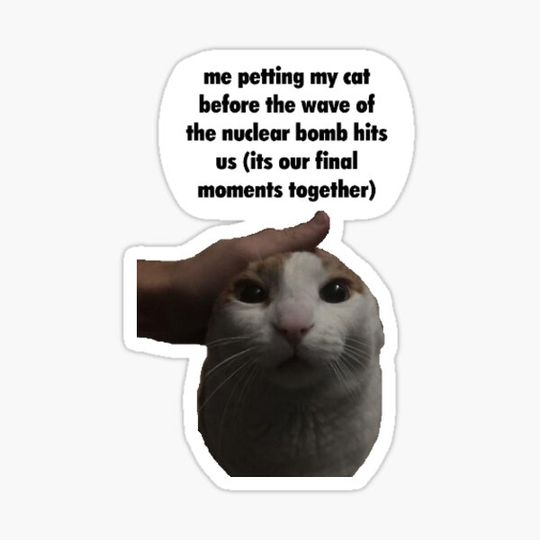 Discover Me Petting My Cat