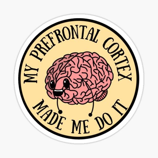 Discover Prefrontal Cortex Sticker
