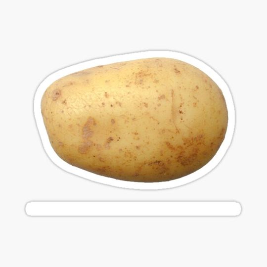 Discover Potato