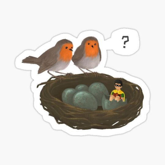 Discover Robin's nest