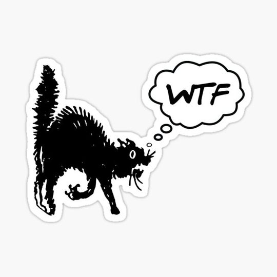 Discover WTF Black Spooky Street Cat - Cool Funny Helmet Motorcycle Or Bumper