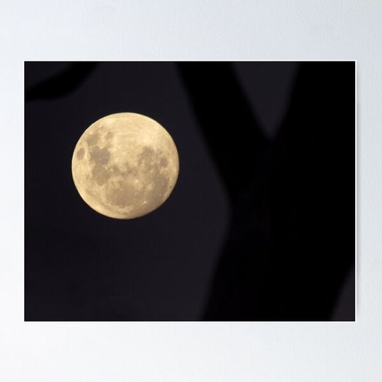 Discover Super Moon -, May 2012