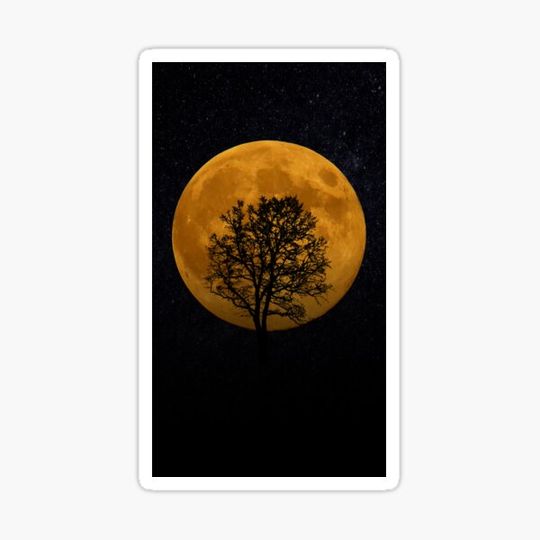 Discover Super moon!