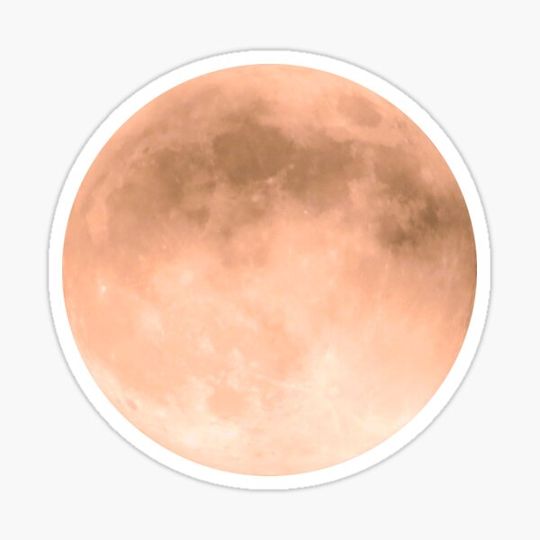 Discover Peach Full Moon