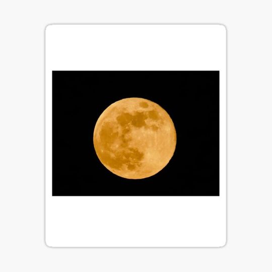 Discover Full Moon