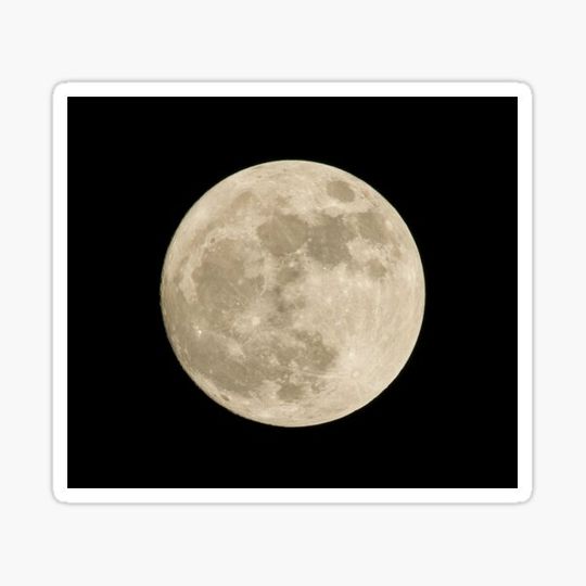Discover Moon
