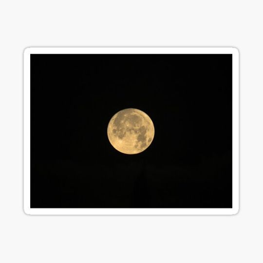 Discover Full Cold Moon Landscape