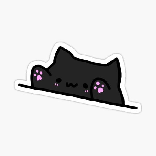 Discover Black Bongo Cat