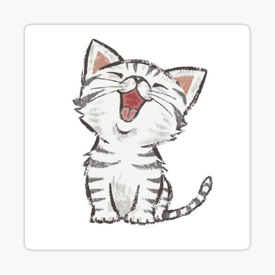 Discover Cat image