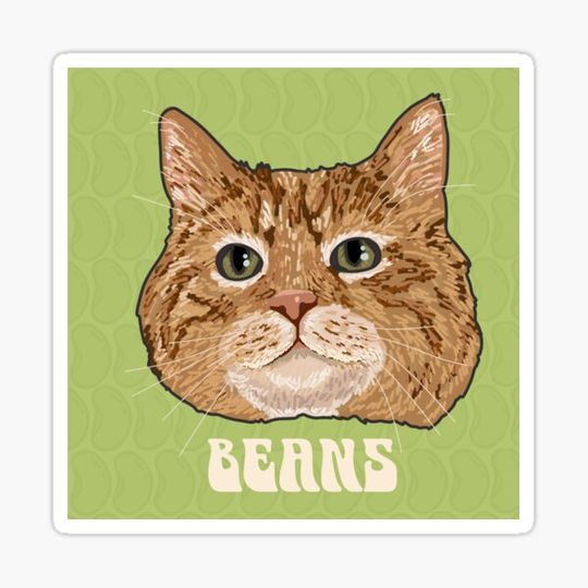 Discover BEANS