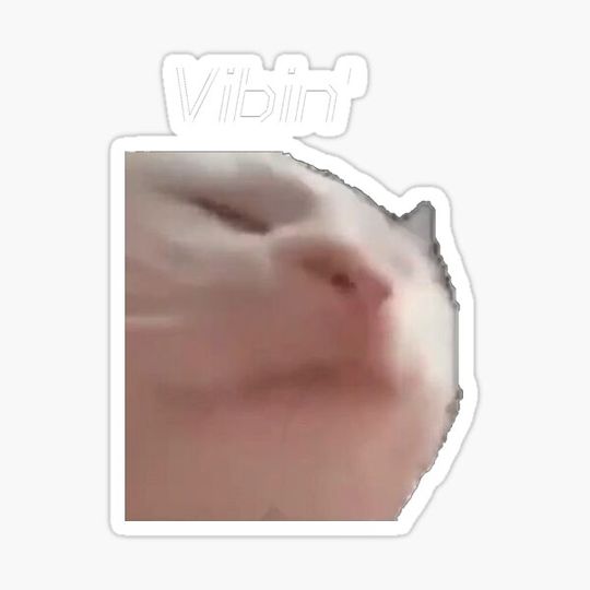 Discover Vibin cat meme